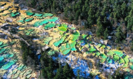 黄龙视频,探寻自然奇观背后的神秘传说